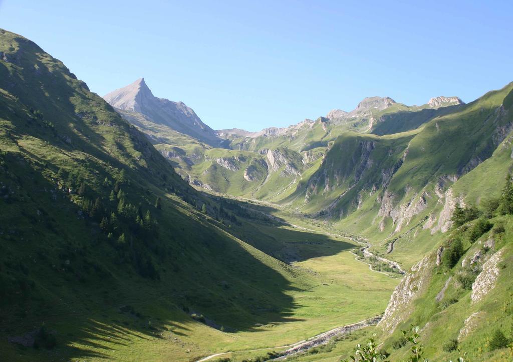 La Jolie Bergere 3*