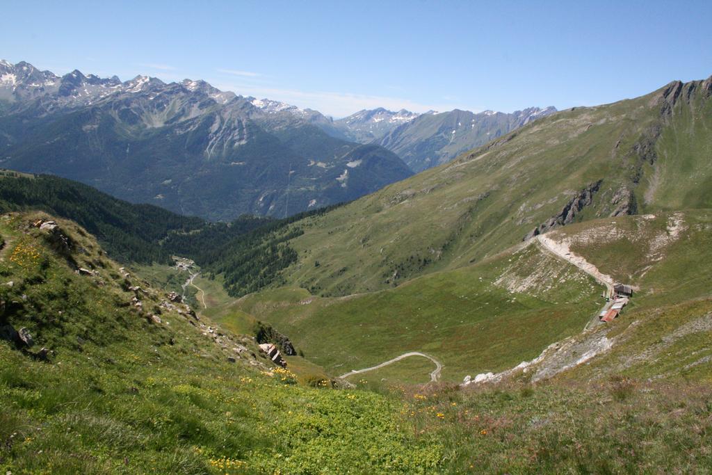 La Jolie Bergere